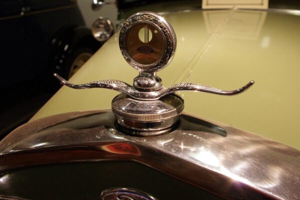 Model t International